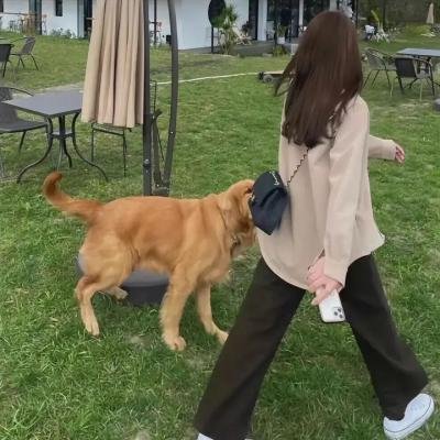 善地第三季